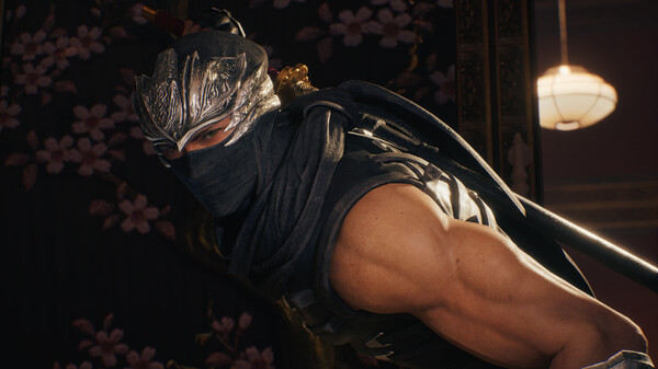 pc《忍者龙剑传2 黑》豪华中文|+预购特典+DLC下载-4.jpg
