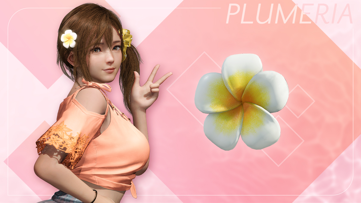 pc《死或生:维纳斯璀璨假期》豪华中文|Build.17764858-1.02+全DLC+预购特典下载-4.jpg