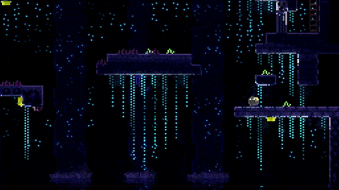 switch《动物井》美版中文NSZ【1.0.9+补丁】下载-3.gif