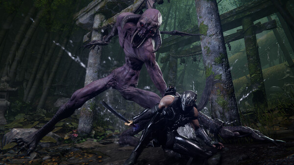 PC《忍者龙剑传4》Build.20221720中文版+预购特典+全DLC下载-7.jpg